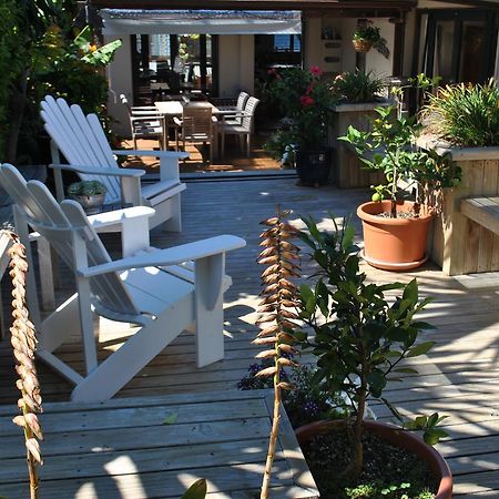 Terry And Cindy'S Bed And Breakfast Auckland Exterior foto
